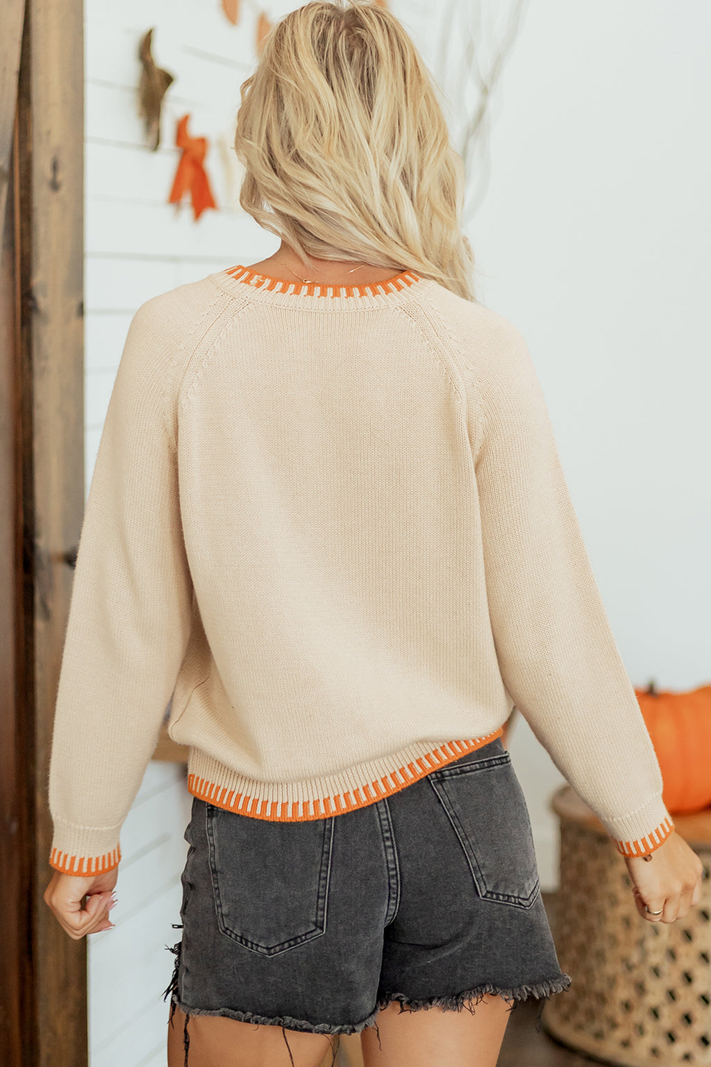 Embroidery Pumpkin Long Sleeve Round Neck Sweater