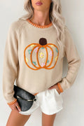 Embroidery Pumpkin Long Sleeve Round Neck Sweater